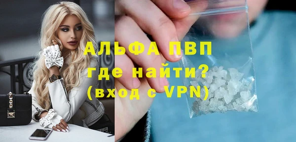 гашик Алексин