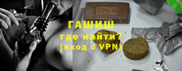 гашик Алексин