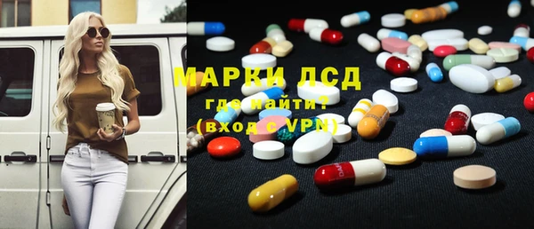 гашик Алексин