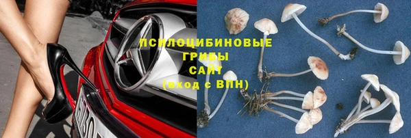 мяу мяу мука Алзамай